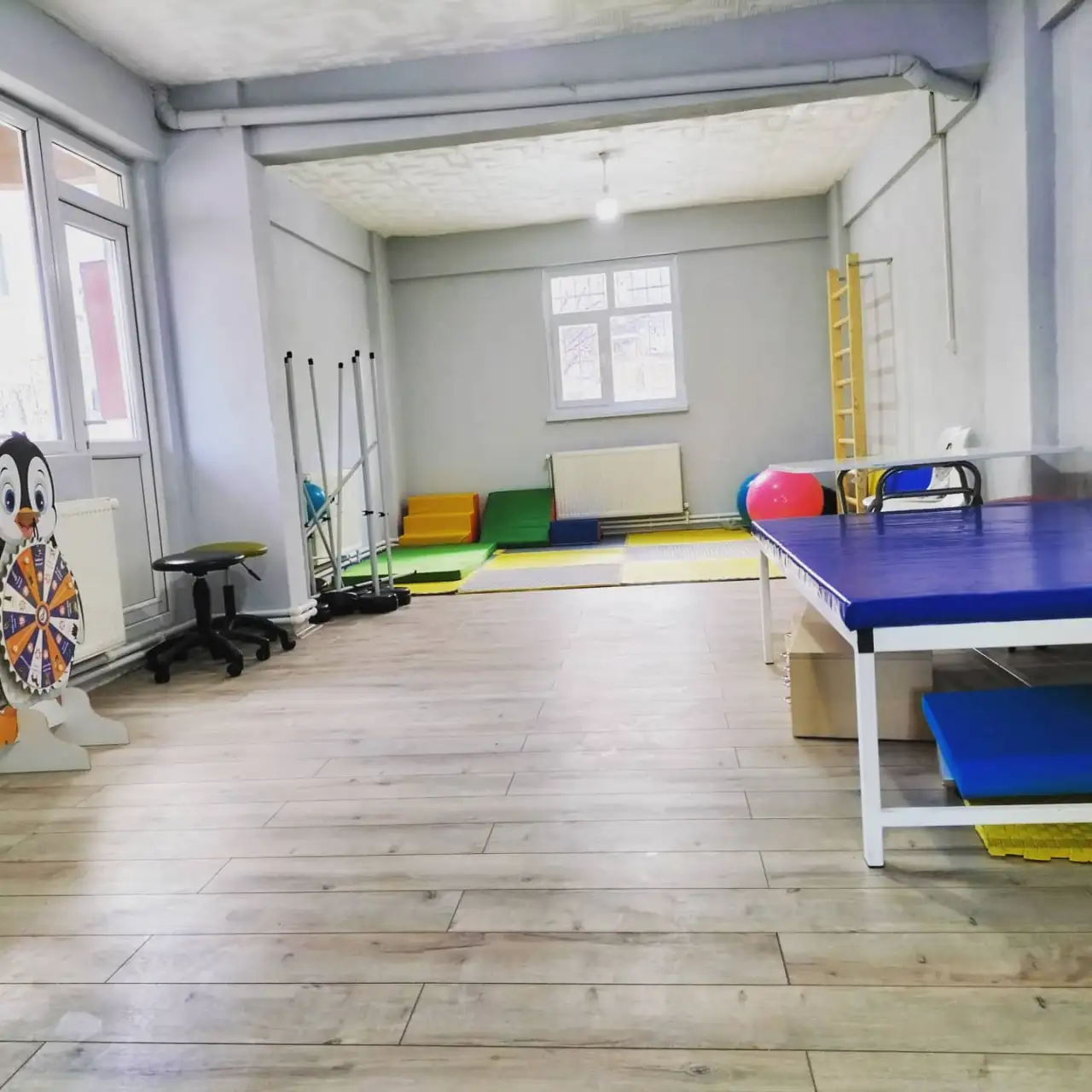 Özel Aktif Özel Eğitim ve Rehabilitasyon Merkezi
