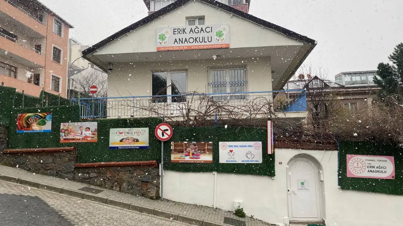 Erik Ağacı Montessori Anaokulu - Kreş ve Anaokulu - İstanbul