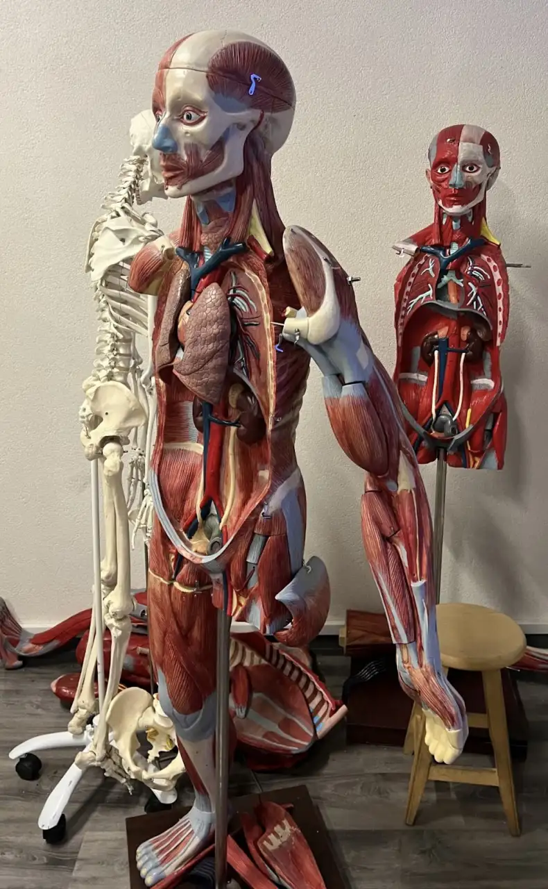 Fizyoperformanceacademy - Fizik Tedavi ve Rehabilitasyon - İstanbul