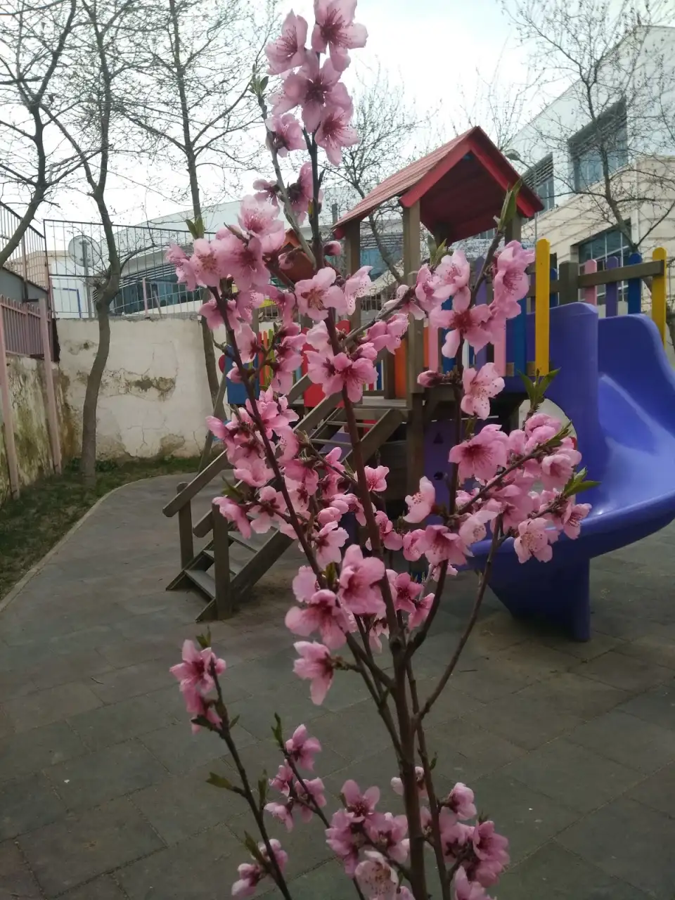 Çağdaş Yaşam Eşref Ve Sadullah Kıray Anaokulu
