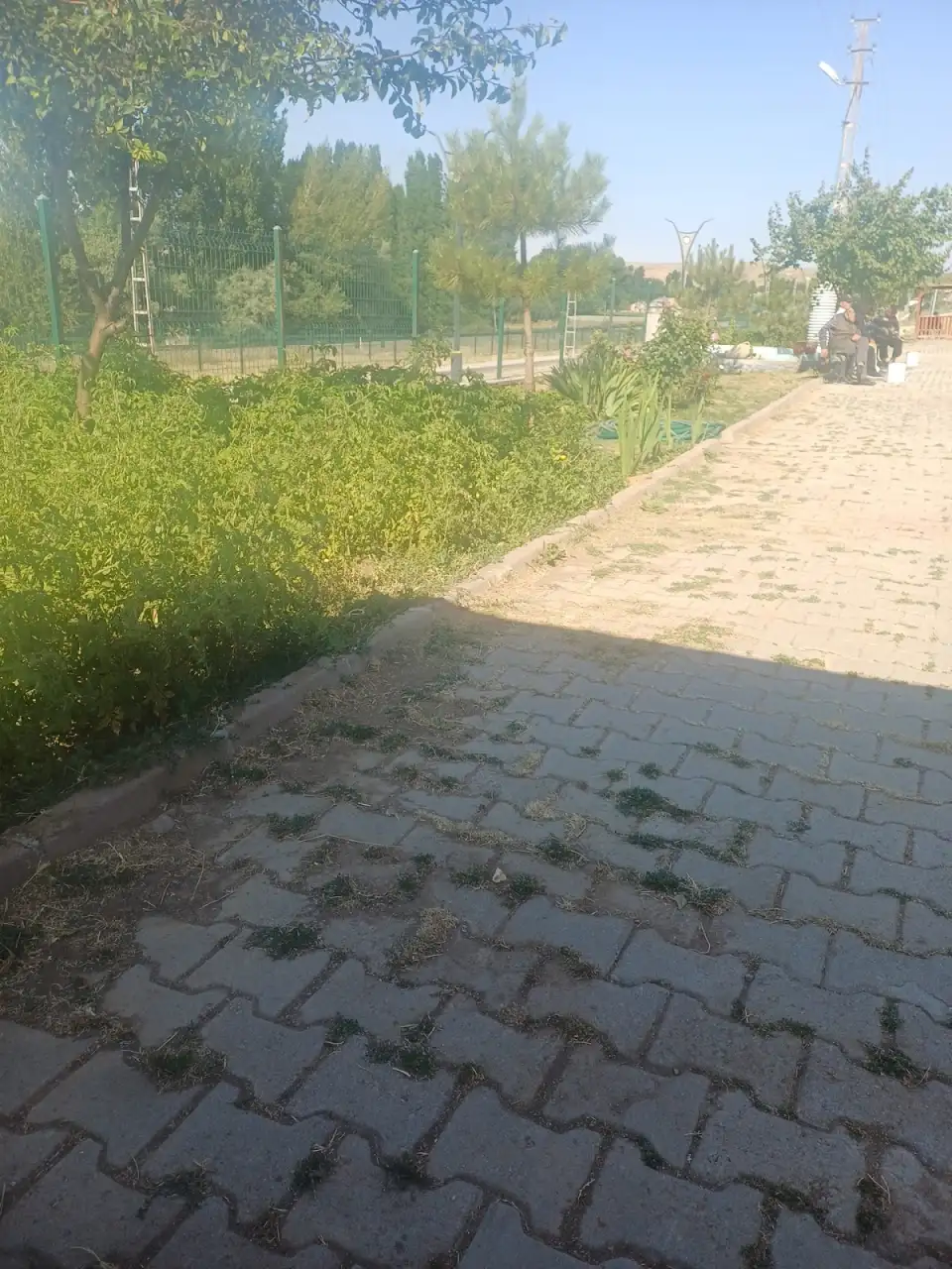 ÖZEL GÜNCEL BAKIM MERKEZİ - Huzurevi - Sivas - galeri görseli