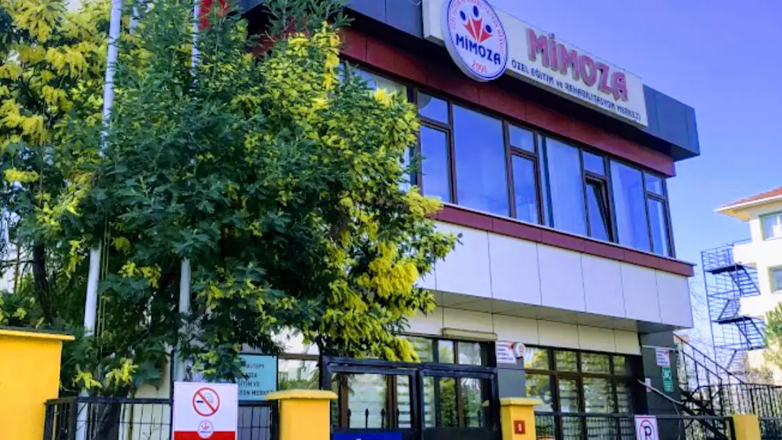 Özel Mimoza Özel Eğitim ve Rehabilitasyon Merkezi - Özel Eğitim ve Gelişim Merkezi - İstanbul